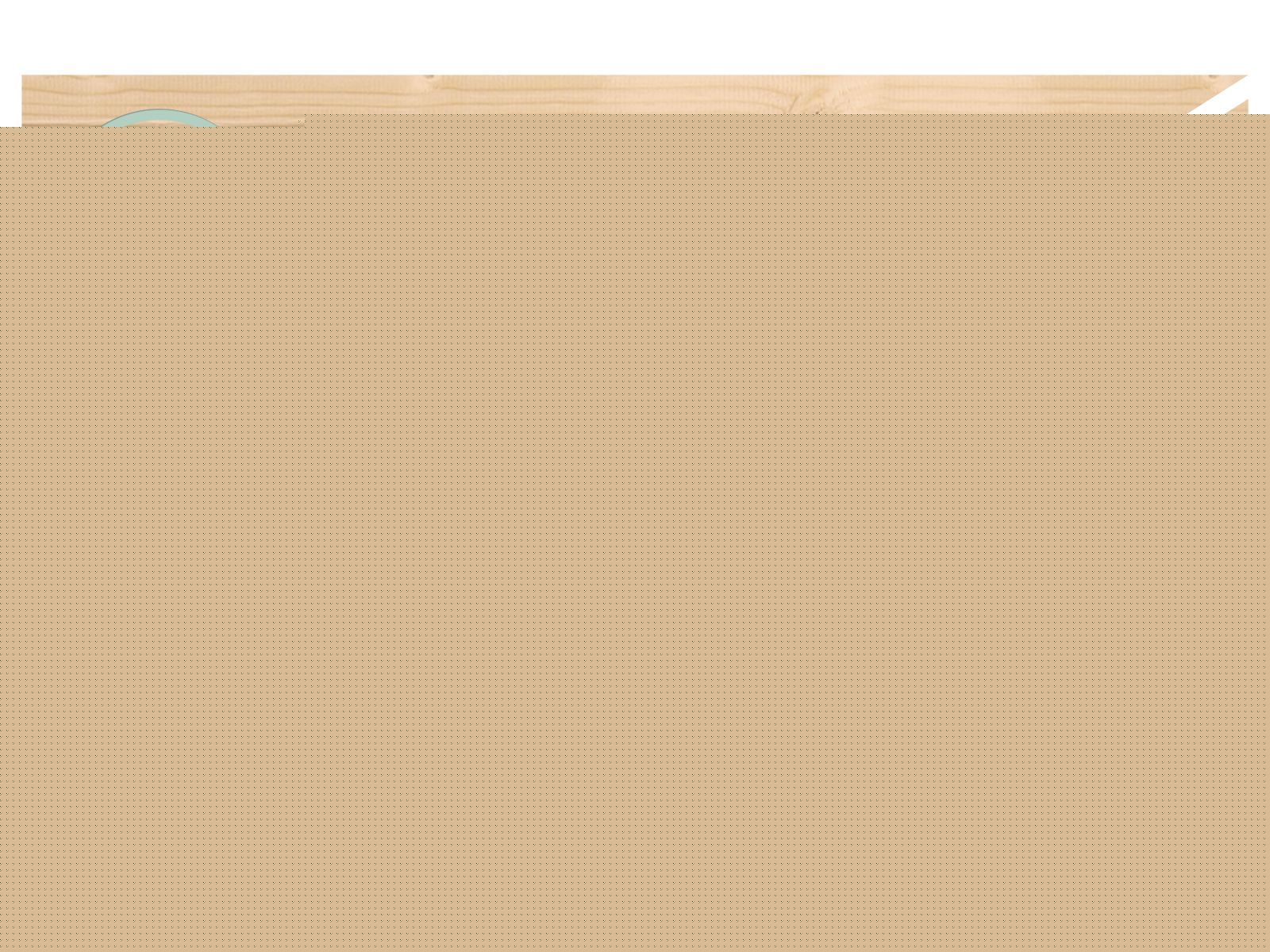 Karibu Gerätehaus Dahme 3 natur 14 mm