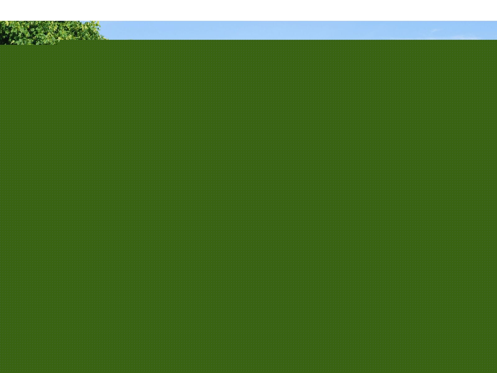 Karibu Stelzenhaus Frieda + Rutsche rot + Doppelschaukel