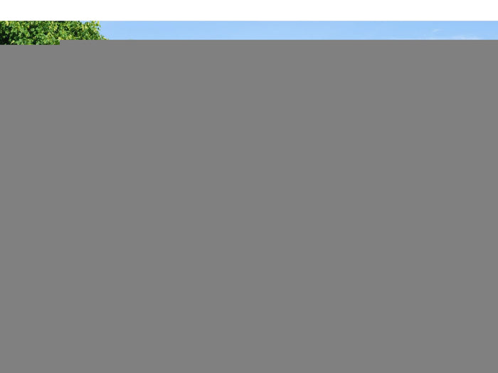 Karibu Stelzenhaus Frieda + Rutsche rot + Doppelschaukel